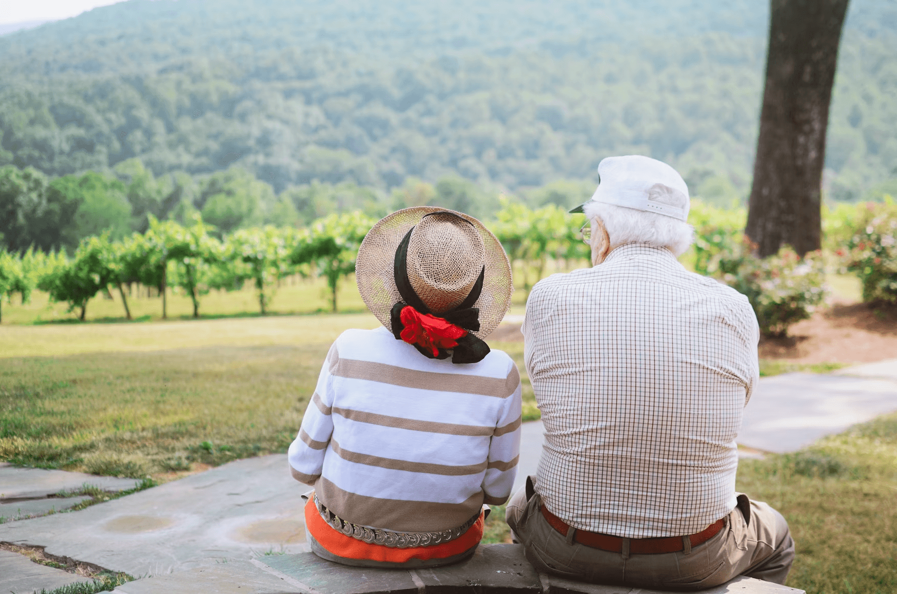 Vulnerable Seniors